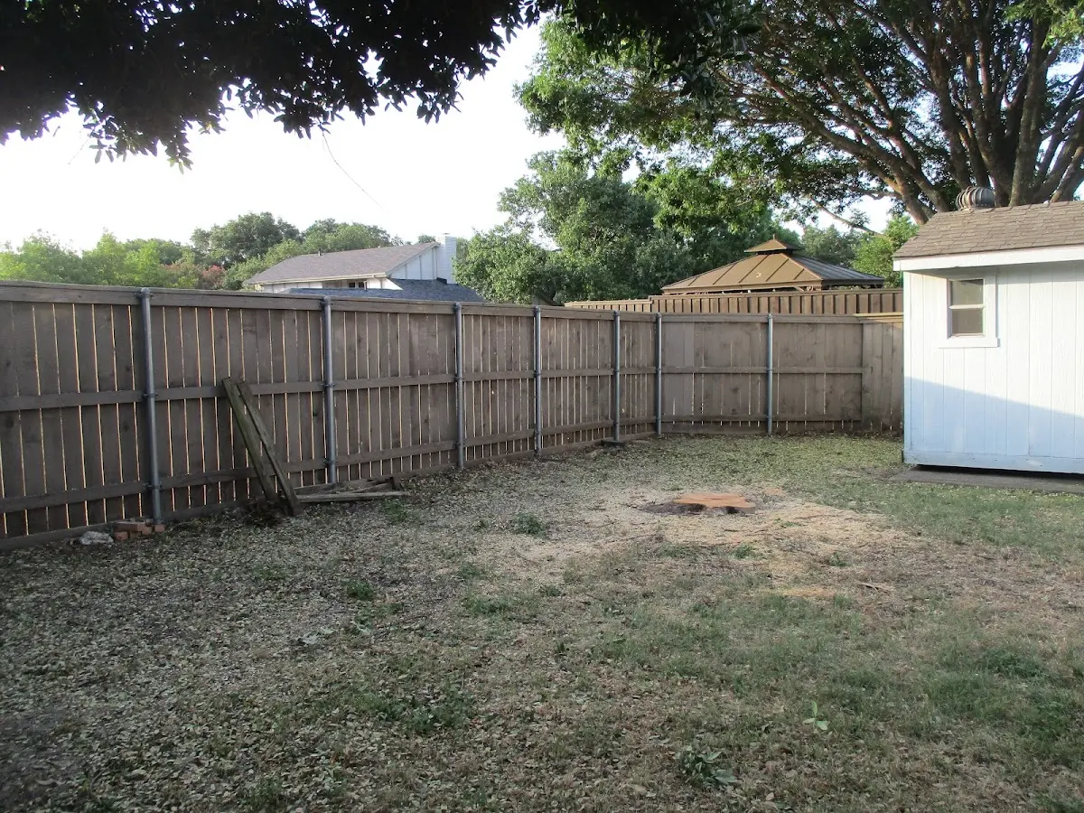 Cleared yard after professional tree removal in Hunker