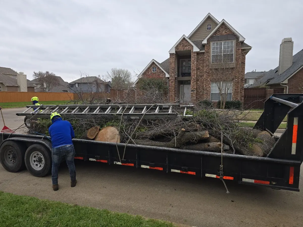 Expert Lot Clearing with proper safety equipment in Hunker
